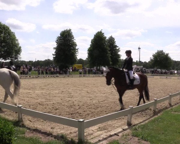 Reitturnier Coesfeld/Lette 2022