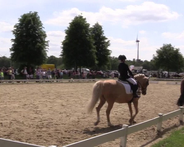 Reitturnier Coesfeld/Lette 2022