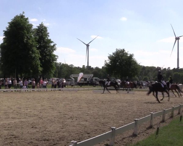 Reitturnier Coesfeld/Lette 2022