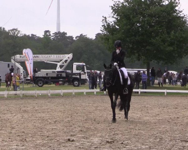 Reitturnier Coesfeld/Lette 2022