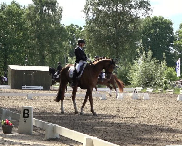 Reitturnier Alvern 2022