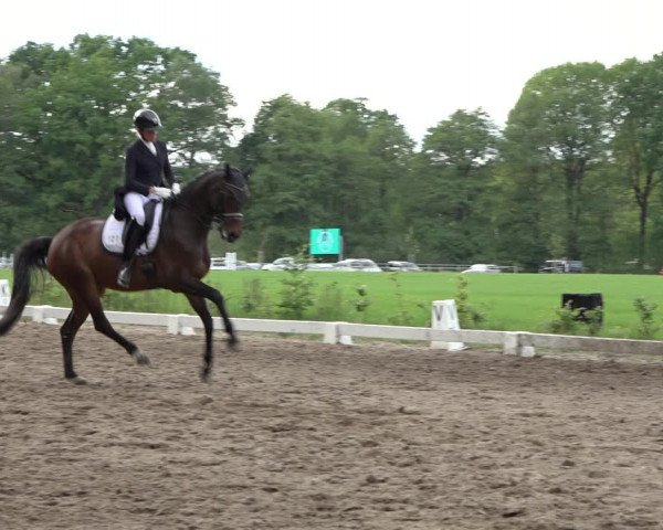 Reitturnier Alvern 2022