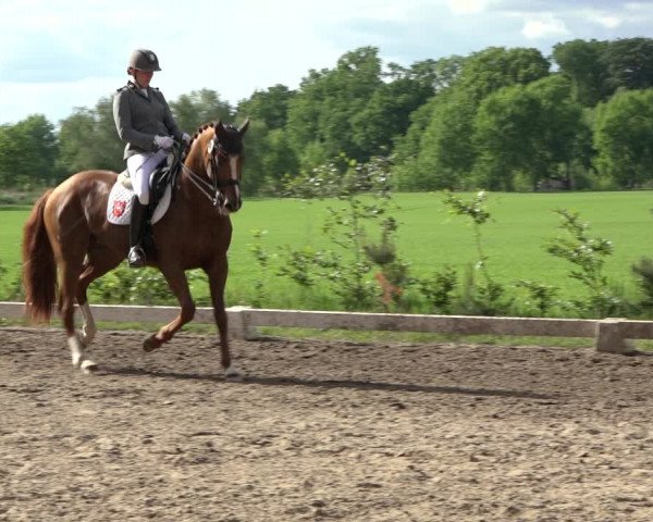Reitturnier Alvern 2022