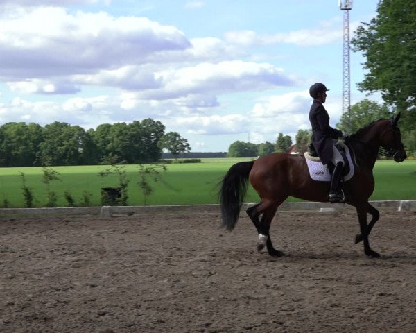 Reitturnier Alvern 2022