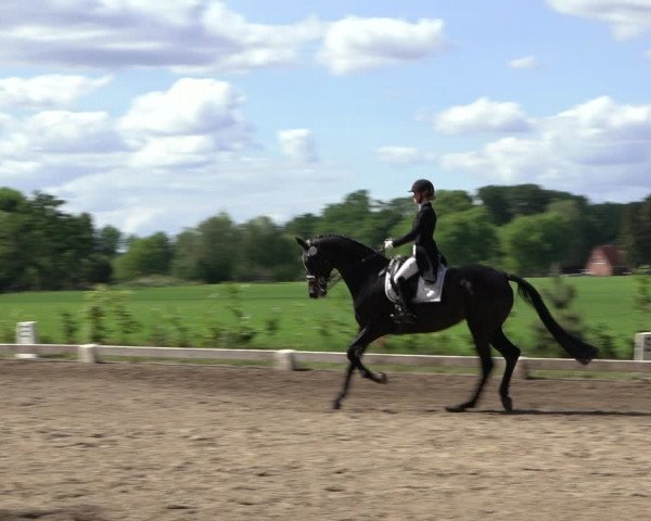 Reitturnier Alvern 2022