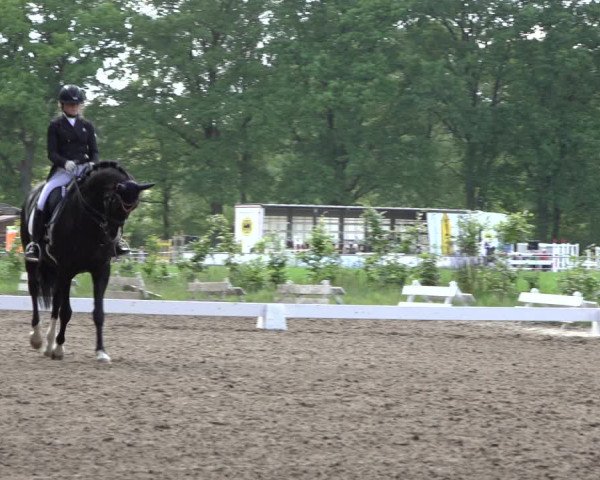 Reitturnier Alvern 2022