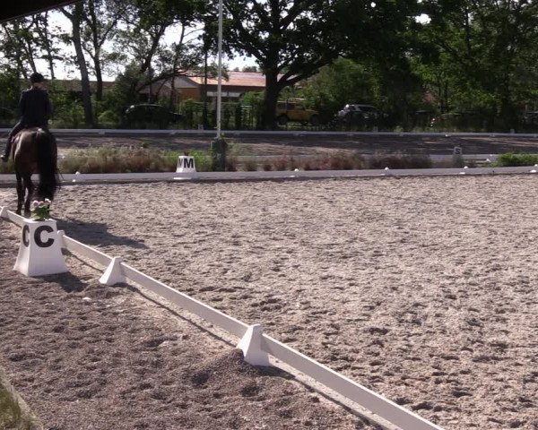 Reitturnier Schönwalde-Glien 2022