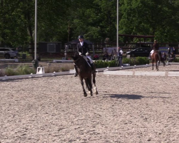 Reitturnier Schönwalde-Glien 2022