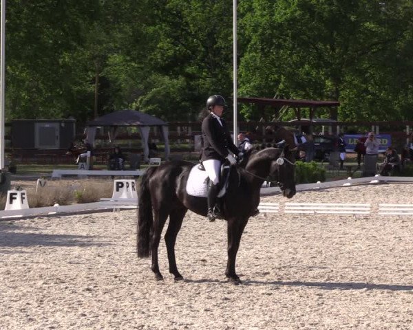 Reitturnier Schönwalde-Glien 2022
