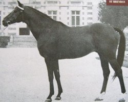 stallion St. Brendan xx (Thoroughbred, 1962, from Milesian xx)