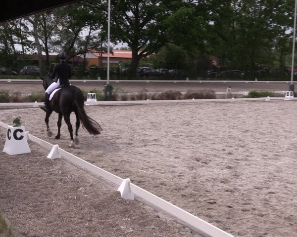 Reitturnier Schönwalde-Glien 2022