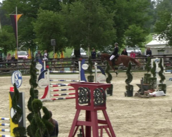 Reitturnier Kirchhellen/Stall Dieckmann 2022