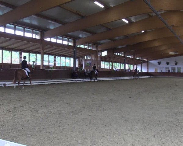Reitturnier Coesfeld/Lette 2022