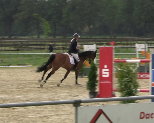 Reitturnier Coesfeld/Lette 2022