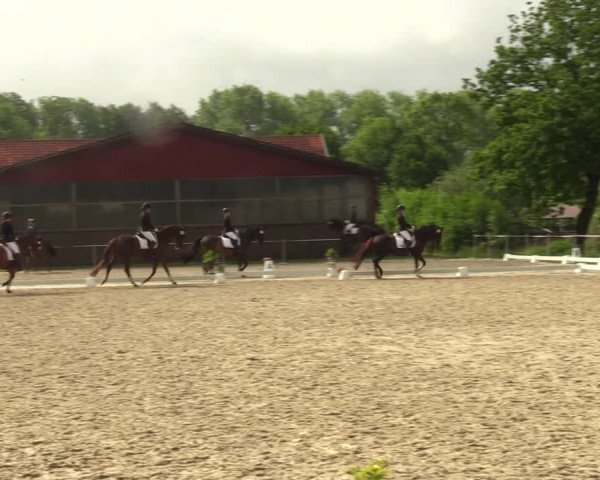 Reitturnier Nienberge-Schonebeck, Reitanlage Geßmann 2022