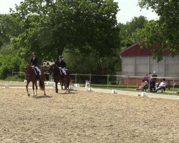 Reitturnier Nienberge-Schonebeck, Reitanlage Geßmann 2022
