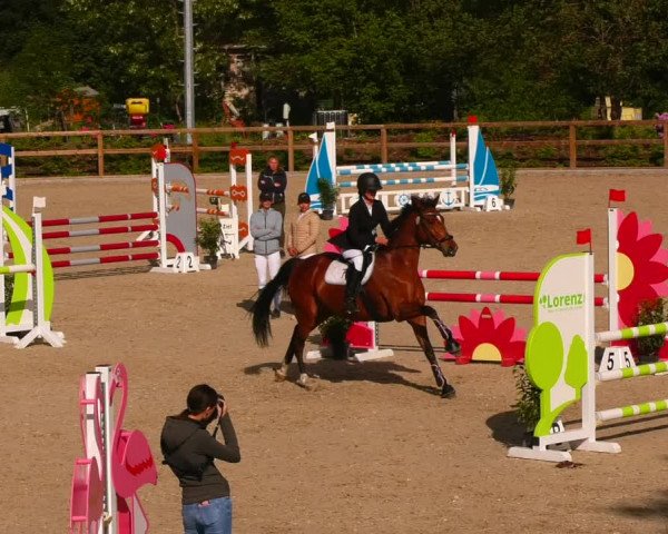 Reitturnier Ruhlsdorf 2022