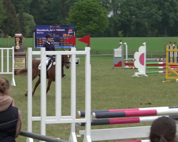 Reitturnier Alvern 2022