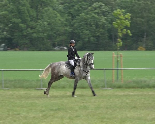 Reitturnier Alvern 2022