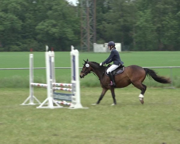 Reitturnier Alvern 2022