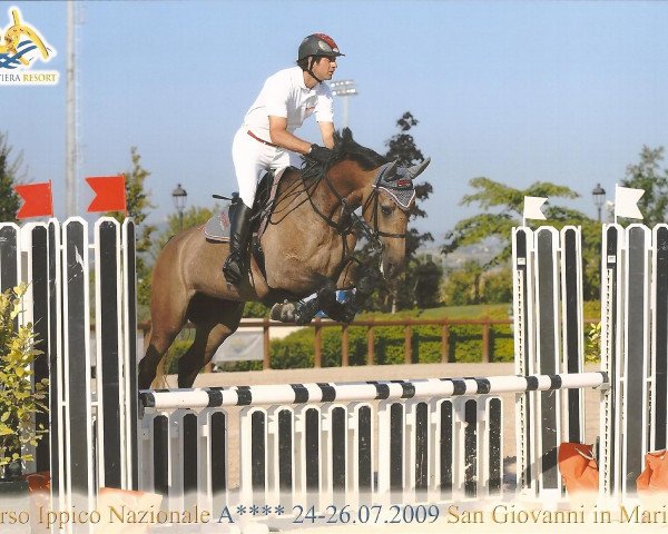 Pferd Savy (Italienisches Warmblut, 2005, von Campione)