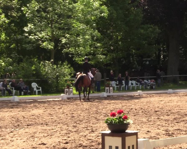 Reitturnier Helmsdorf 2022