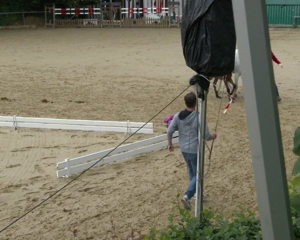 Video von Golden Diamond K