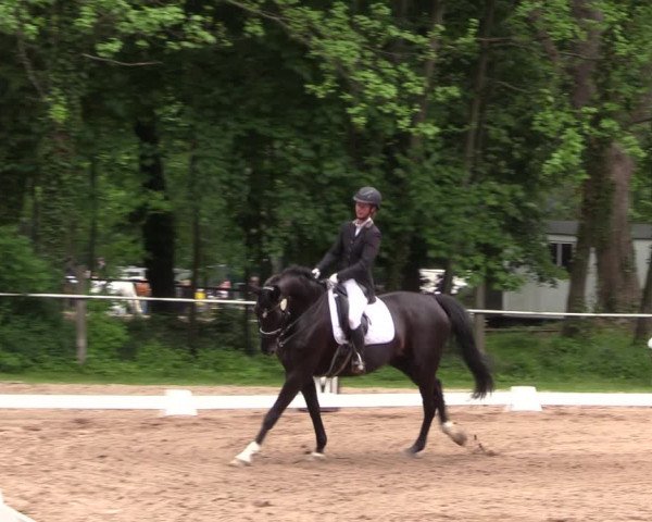 Reitturnier Helmsdorf 2022
