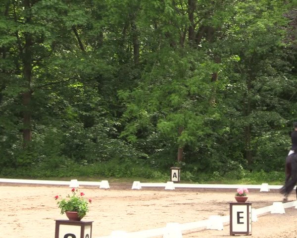 Reitturnier Helmsdorf 2022