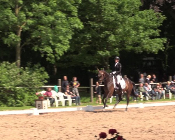Reitturnier Helmsdorf 2022