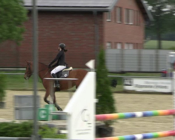 Reitturnier Coesfeld/Lette 2022