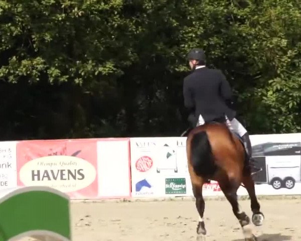 Video of Lordly Pezi