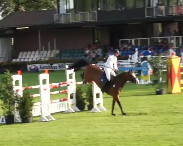 Video of Lordly Pezi