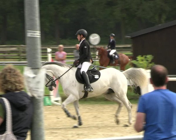 Reitturnier Coesfeld/Lette 2022