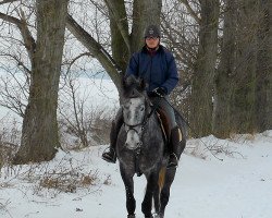 dressage horse Withe Magic 30 (unknown, 2009)