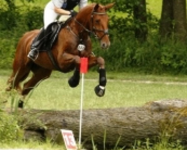 jumper Farina de Luxe (Bavarian, 2004, from Pilotek)