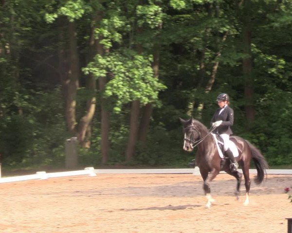 Reitturnier Helmsdorf 2022