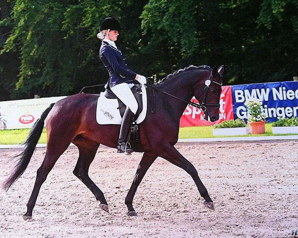 dressage horse Altefeld's Florencia (German Sport Horse, 2006, from Fidertanz)