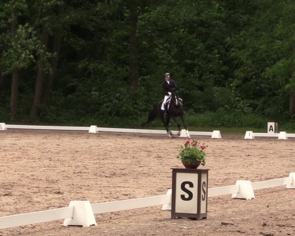 Reitturnier Helmsdorf 2022