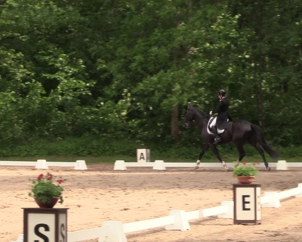 Reitturnier Helmsdorf 2022