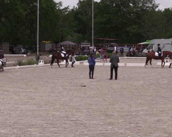 Reitturnier Schönwalde-Glien 2022