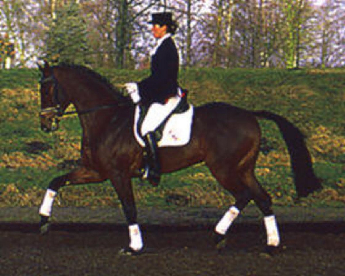 Deckhengst Langenhagen (Holsteiner, 1994, von Landadel)