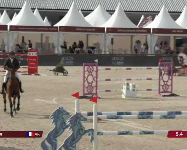 Video of Verdi des Forets