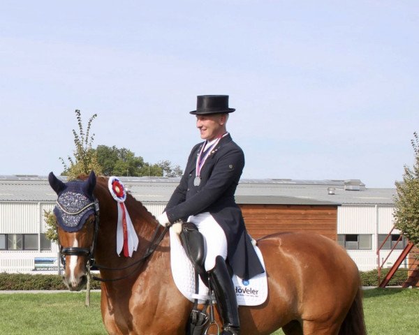 dressage horse Go For It Tc (KWPN (Royal Dutch Sporthorse), 2011) dressage horse Go For It Tc (KWPN (Royal Dutch Sporthorse), 2011)