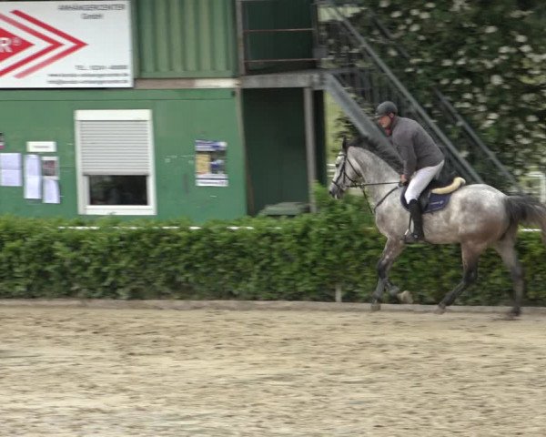 Reitturnier Bornheim-Widdig 2022