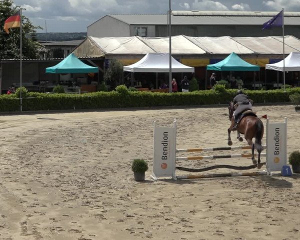Reitturnier Bornheim-Widdig 2022
