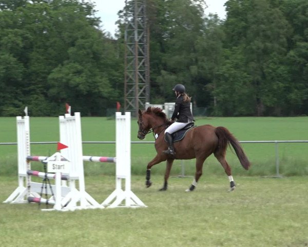 Reitturnier Alvern 2022