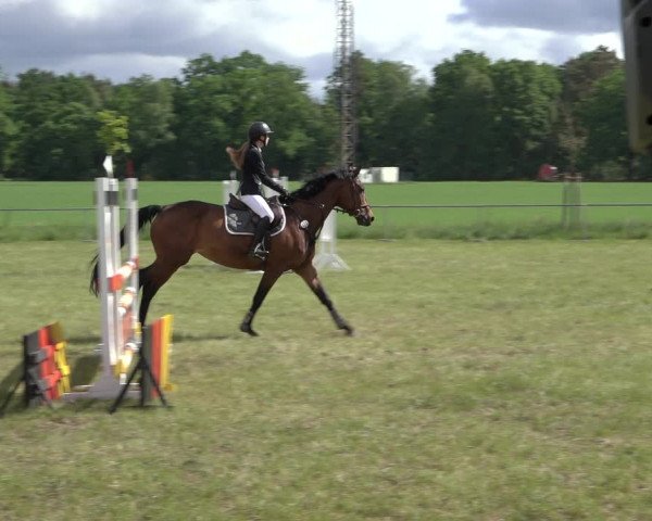 Reitturnier Alvern 2022