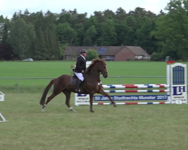 Reitturnier Alvern 2022