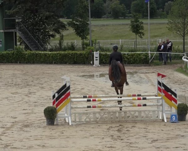 Reitturnier Bornheim-Widdig 2022